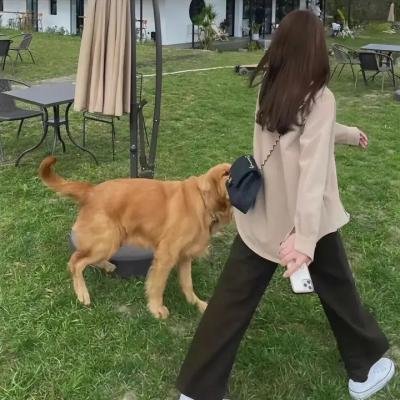 寻女彻夜行